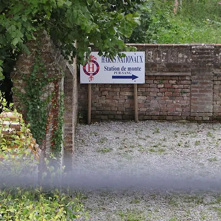 Maison Spacieuse Au Haras Du Pin - Fr-1-497-272 *